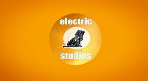 ELECTRIC LION STUDIOS